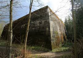 Could Long-Lost Amber Room Be Stashed in a Nazi Bunker in Poland? - The New  York Times