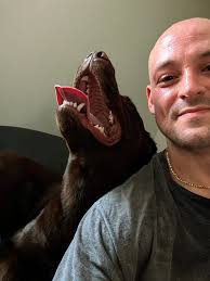 Neutering to correct roaming behavior in dogs