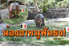 ผลการแข่งขันฟุตบอล ยูโร 2020 อังกฤษ พบ เยอรมนี รอบ 16 ทีมสุดท้าย Pb4lc69dr6thqm
