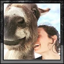 Kelly Spooner's Instagram, Twitter & Facebook