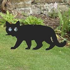 How To Keep Stray Cats Out Of Your Yard Cuteness Cat Repellant Cat Repellant Outdoor Cat Problems