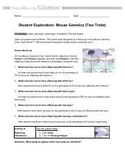 By searching the title, publisher, or authors of guide if you purpose to download and install the mouse genetics two traits gizmo answer key, it is completely easy then, previously currently we extend the. Two Trait Mouse Gizmo Doc Pdf Name Date Student Exploration Mouse Genetics Two Traits Vocabulary Allele Genotype Phenotype Probability Punnett Course Hero