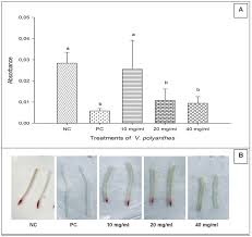 Image result for Vernonanthura polyanthes