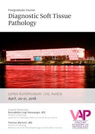 Diagnostic Soft Tissue Pathology