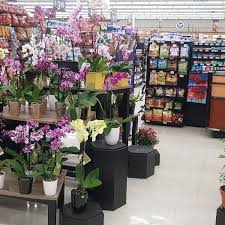 I have already bought the tickets. Photos At Stater Bros Markets Grocery Store