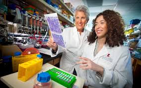 Tumors hijack export pathway in cells to resist chemotherapy and fuel  disease progression