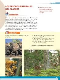 ¡paco te ayuda con tu tarea! Los Tesoros Naturales Del Planeta Ayuda Para Tu Tarea De Geografia Sep Primaria Quinto Respuestas Y Explicaciones
