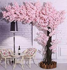 There are really showy double blossoms or more delicate single petal like flowers amongst a range of others. Pin On Monica Client