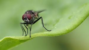 Gizem savage erome the encounter was a positive encounter,