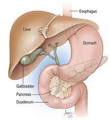 There are two types of pancreatic cancer: Pancreatic Cancer Symptoms Causes Treatments