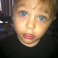 Dimambro took responsibility for child's death in jailhouse phone calls