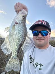 My new personal best crappie. Caught in Lake Anna, Virginia. : r/Fishing