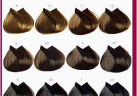 Shades Of Brown Hair Color Loreal Lajoshrich Com