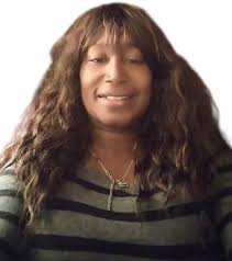 Best taco lasagna ever ingredients needed