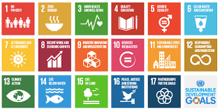 The chemical sector sdg roadmap (roadmap) is an. Learn More About The Sdgs Sdg Compass