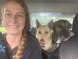 Our boston pet shipping services includes: Pet Transport Bridget S Pet Services