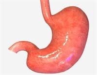 Contenido Del Vomito