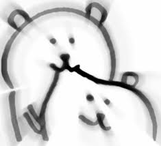 더쿠 이미지 보기