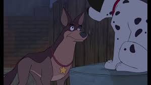 Alright boy, it's time to go rodger called out to his dog who was preoccupied staring at the german shepherd who watched the sunset with sadness. Thunderbolt Wiki 101 Dalmatians Amino
