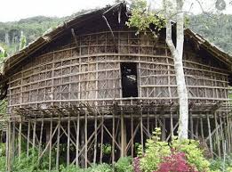 Gambar rumah adat papua honai. 42 Gambar Rumah Adat 34 Provinsi Di Indonesia Dan Penjelasan