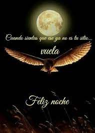 Pin De Abu Judith En Buenas Noches Buenas Noches Frases Postales De Buenas Noches Buenas Noches