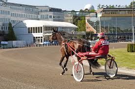 Download it today and read the latest and hottest news about the elitloppet, check on. Elitloppet Facio