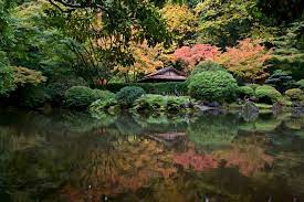 Enjoy A Leisurely And Peaceful Stroll Around This Stunning Japanese Garden Overlooking The City Of Portla Portland Japanese Garden Japanese Garden Urban Garden