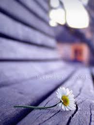 Green geometric digital wallpaper, white concrete building, 3d abstract. Download Alone White Flower Wallpaper 35964 From Mobile Wallpapers This Alone White Flower Mobile Wallpa White Flower Wallpaper Flower Wallpaper White Flowers