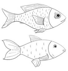 Fish Drawing Outlines Vector Images Over 7 900 It is possible to become an expert at identifying species by their outline. vectorstock