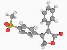 Image result for Rofecoxib