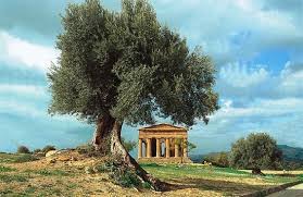 Palermo • taormina • catania • siracusa • erice • cefalù • in the country • art of dining in sicily. Best Restaurants In Sicily Tripadvisor