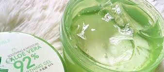 Menanam lidah buaya mesti mengikuti irama hidupnya yang sesungguhnya, seperti di habitat asalnya yang cukup natural. Info Manfaat Harga Aloe Vera Soothing Gel Nature Republic Daftar Harga Tarif