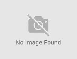 During home games of the 2018 season, a donation bucket will be available. 123helpme Free Accounts Christofinia 4 Star Hotel In Ayia Napa Cyprus