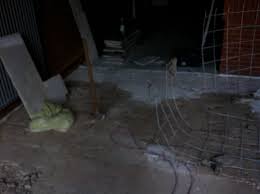 Fliesenleger, fliesenlegermeister in aurich, im bundesland niedersachsen für fliesenlegung aller firmen zu fliesen in aurich. Die Alten Fliesen Mussen Weichen Baumassnahme Eingangsp Flickr