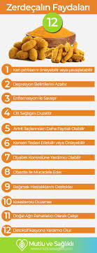 Zerdecal Faydalari Cilde Sifasi Zihin Guclendirici Ve Eklem Sagligi Zerdecal Beslenme Saglikli Yasam