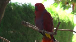 Maybe you would like to learn more about one of these? Time Is An Illusion Lunchtime Doubly So Tommivlog Relax Music For Deep Sleep Youtube