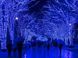 The World S Most Spectacular Holiday Light Displays Best Christmas Lights Blue Christmas Lights Christmas Light Installation