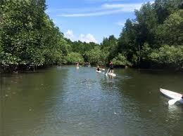 A total of 12 pools were built to accommodate the 592 estuarine crocodiles of various sizes which will be preserved and showcased to visitors within the area. Pasir Gudang 2021 Best Of Pasir Gudang Malaysia Tourism Tripadvisor