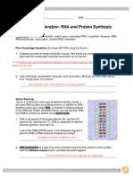 File type pdf rna and protein. Rnaproteinsynthesisse Key Translation Biology Rna