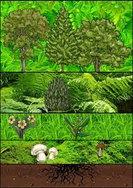 Grüner wald vorlage kostenlosen vektoren. Lassen Waldlapbook Herunterladen Hier Konnt Ihr Euch Das Lapbook Als Worksheet Wald Grundschule Lapbook Vorlagen Wald