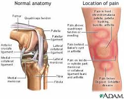 Pin On Knee Exercises