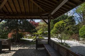 Vielleicht an schönsten ist dieser garten der freiburger partnerstadt matsuyama im frühling, wenn die magnolie blüht und die leuchtenden farben und die harmonischen formen beglücken! Japanischer Garten See Park Freiburg Fabrizio Foto Freiburg