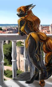 Furry Dragon Wolf Yiff - Hentai and Fandom