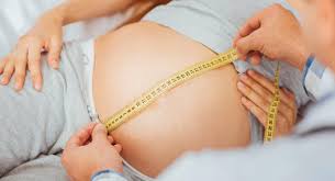 Average Fetal Length And Weight Chart Babycentre Uk
