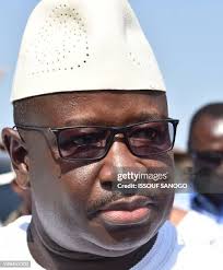 280 Julius Small Stock Photos, High-Res Pictures, and Images