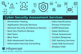 Cybersecurity Assessment Services Cyber Security Security Assessment Assessment