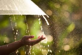 Banho de chuva: faça uma limpeza espiritual com ele!