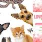 Oshkosh Love Your Pet Expo - Oshkosh Arena, 1212 S Main St Event Image