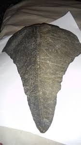 Pin By Ron Pendergast On Artifacts Midwest Rock Hunting Artifacts Iowa