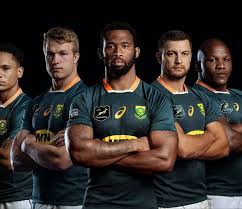R203,680 price quoted is per package and exclusive of vat. Say Hello To The Unique Springbok Jersey For The British Irish Lions 2021 Tour Asics South Africa